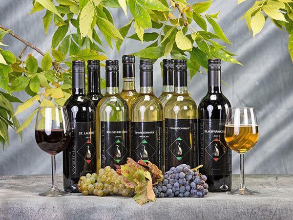 阿佩特隆 Gasthof Weinzettl酒店 外观 照片